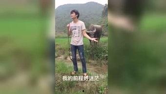 国产最新福利视频,视觉盛宴，情感共鸣，尽享视听盛宴